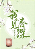 我见春风如故人小说